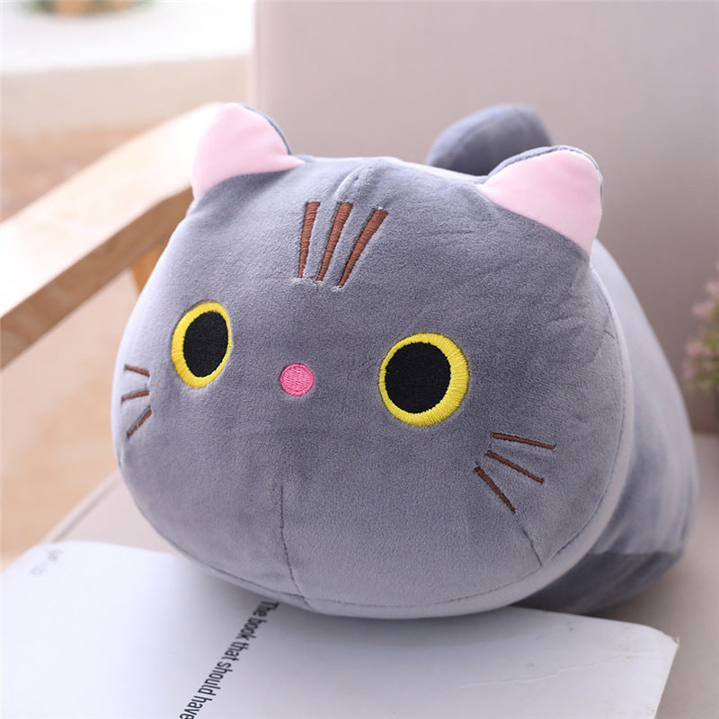 Huggable Kitty Plush & Pillow